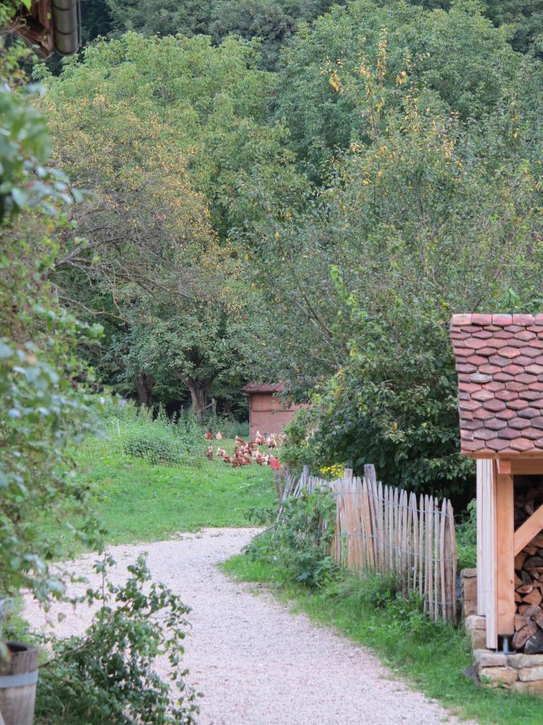 en route vers le paradis des poules...