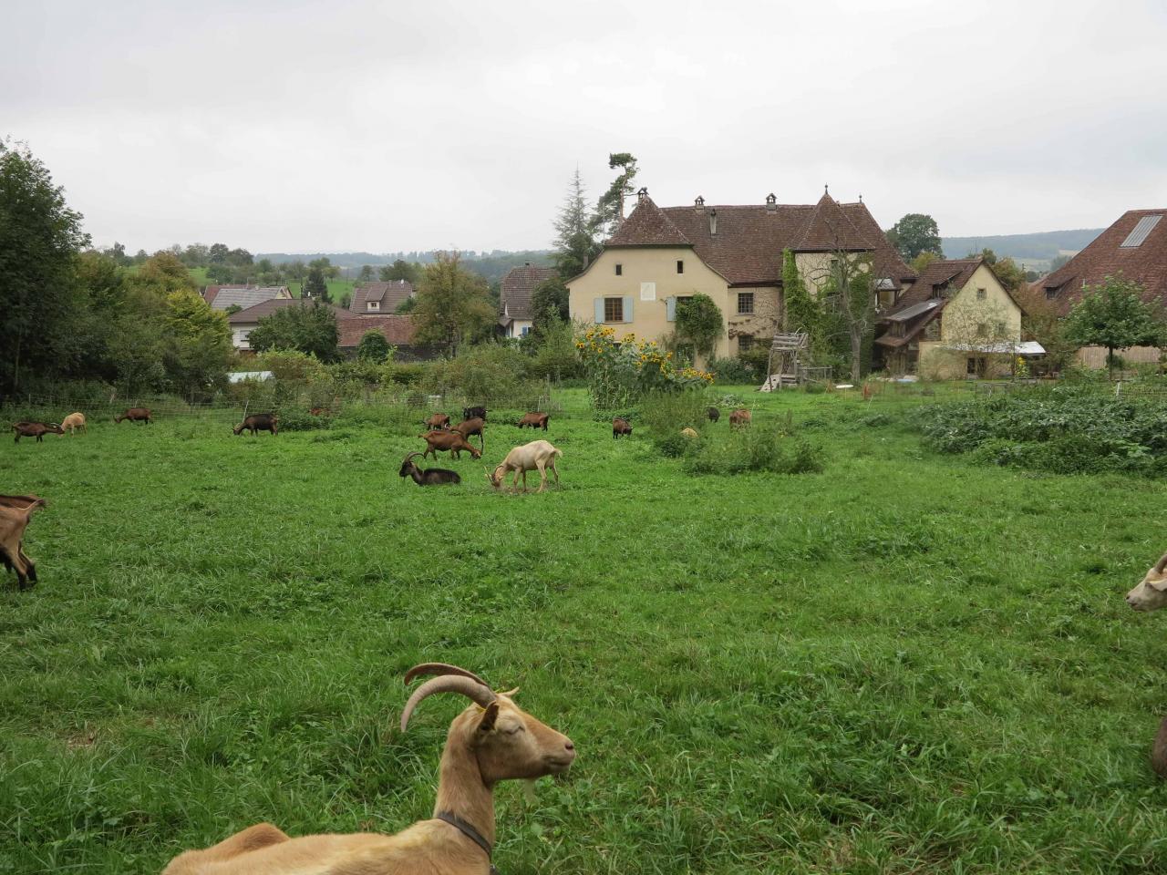 au coeur de Biederthal