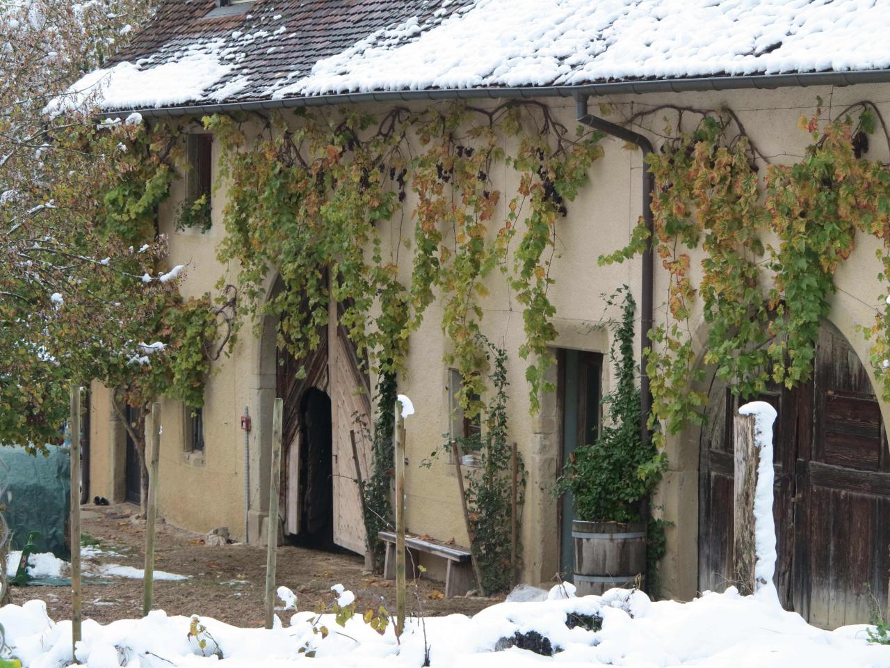 mélange d'automne et d'hiver dans la cours du Geissberg