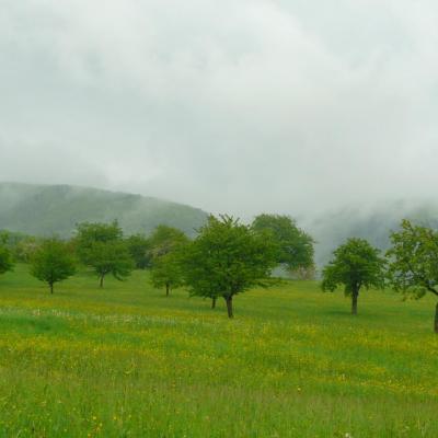 Paysage et biodiversité