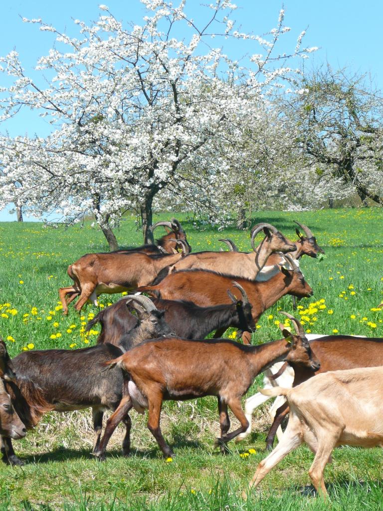 1ère sortie du printemps