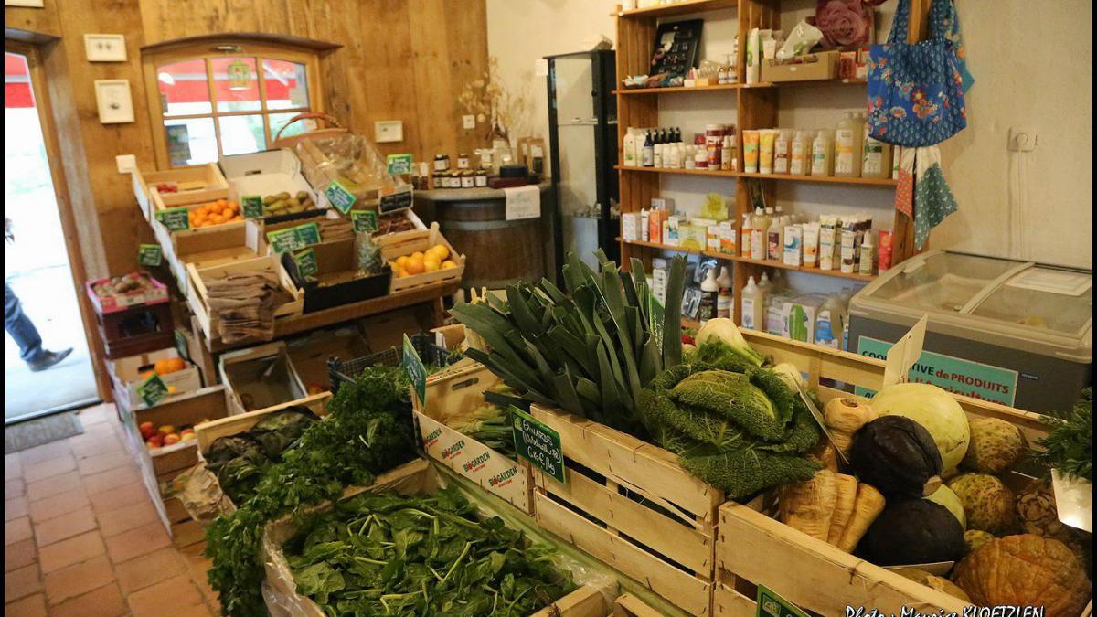 Amap ferme geissberg 272