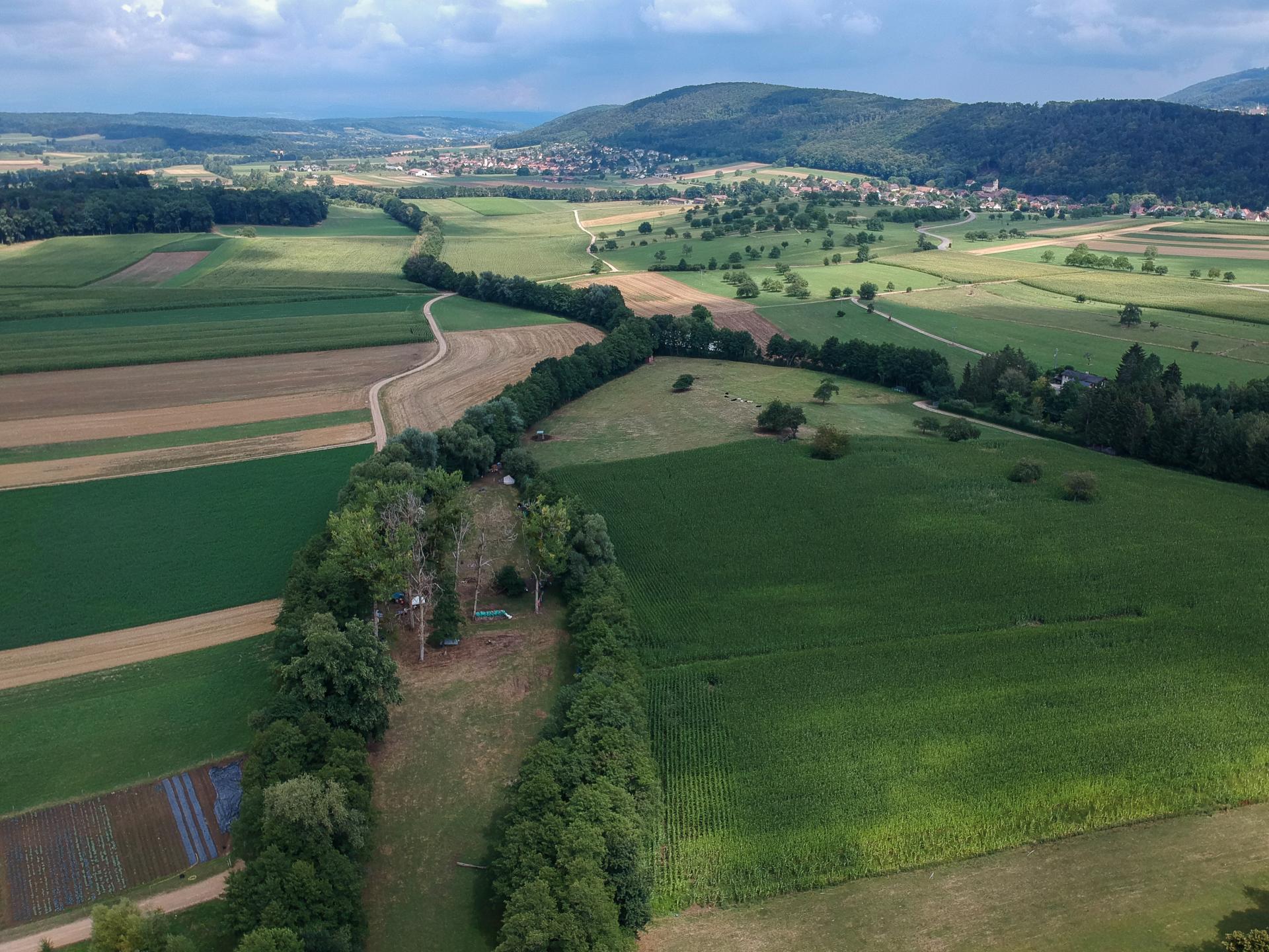Champs agricoles de la ferme du Geissberg à Biederthal, cultivés en biodynamie, avec des collines en arrière-plan, illustrant l'engagement pour le respect de la nature et les circuits courts.