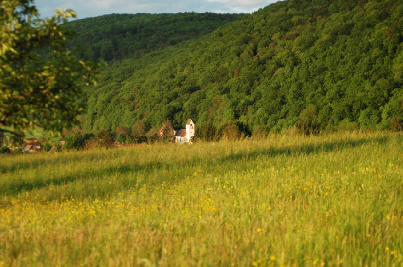 Vue du village de Biederthal avec prairie et collines