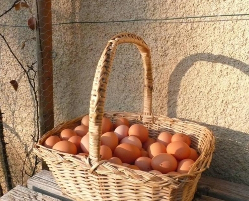 Panier en osier rempli d'œufs bruns frais posé sur des planches en bois, produits de la ferme biodynamique du Geissberg à Biederthal