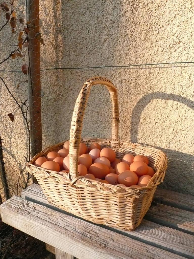 Panier oeufs ferme