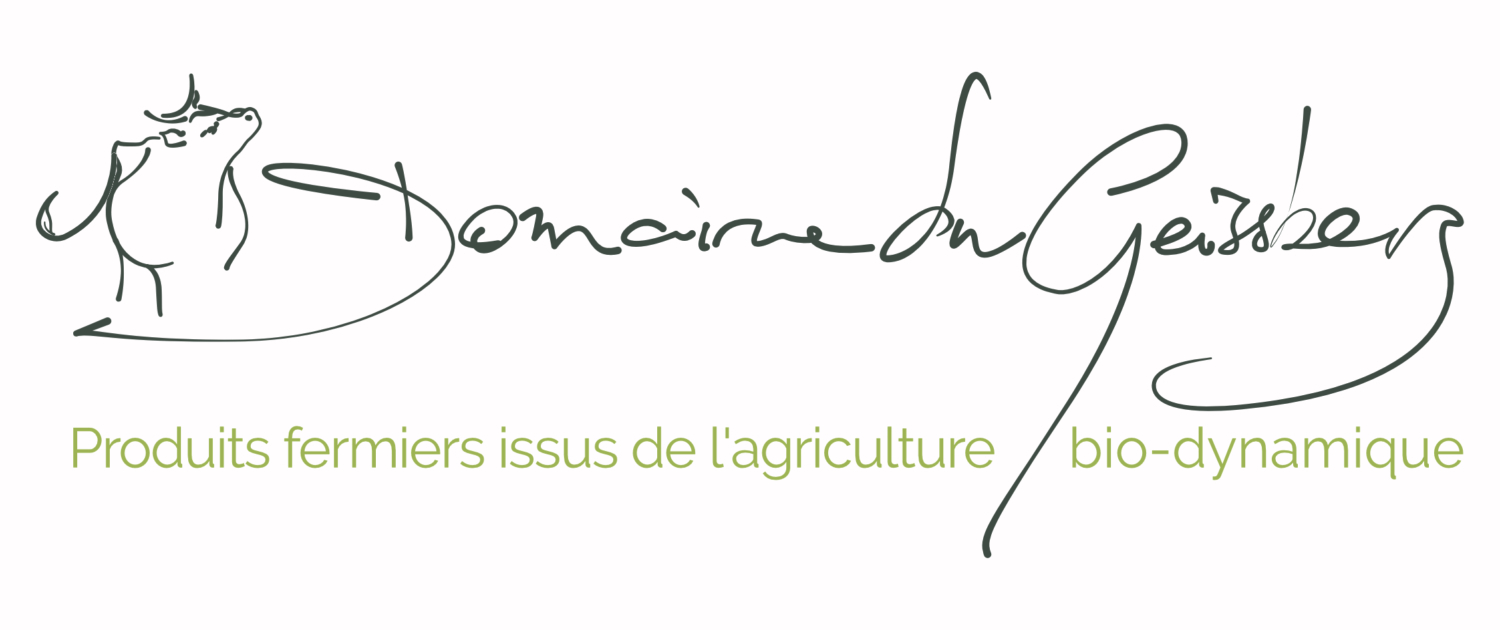 Geissberg-Logotype
