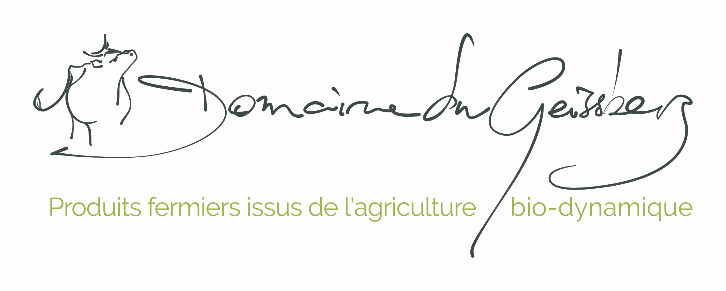 Geissberg-Logotype